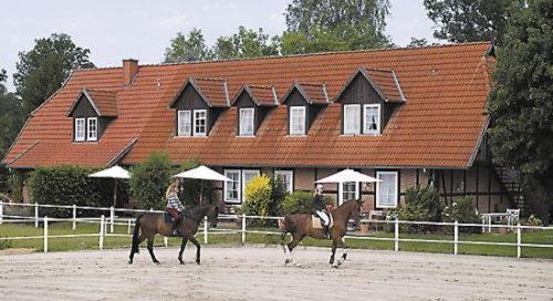 Heidehotel Gut Landliebe Гєрманнсбург Екстер'єр фото
